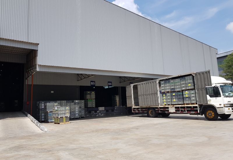 Grade A Logistics Warehouse With 22 Loading Bays