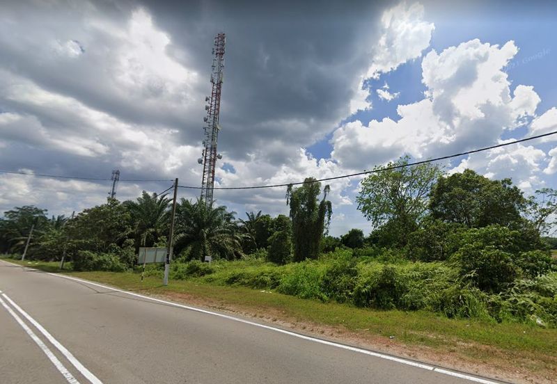 Pekan Nanas Agriculture Land