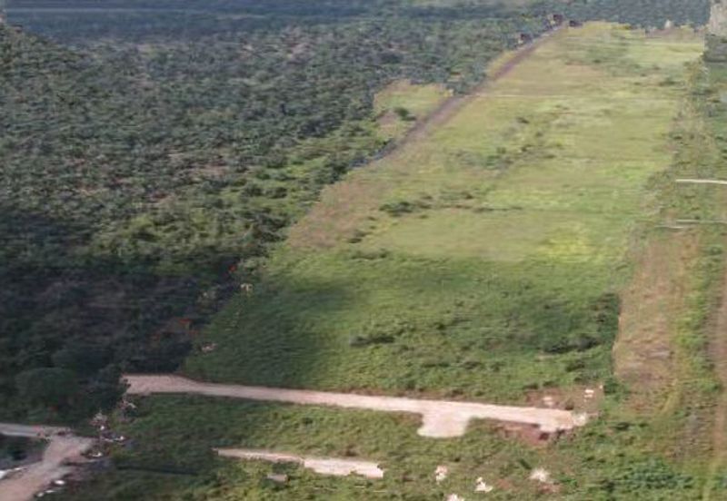 Pekan Nanas Industrial