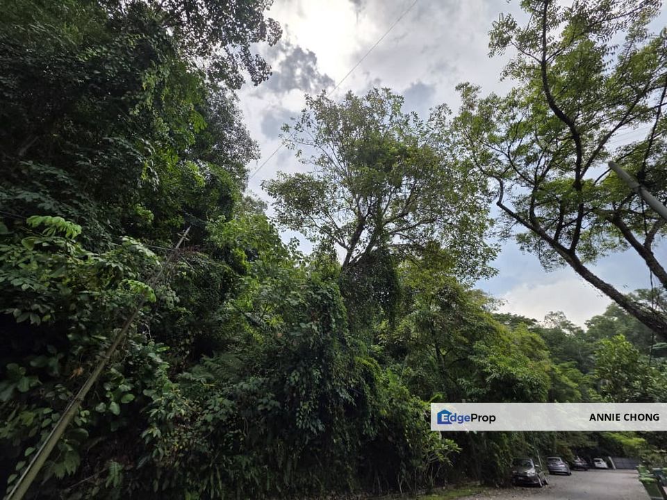 BIG FREEHOLD Land. Damansara Heights, Damansara Heights, Kuala Lumpur, Kuala Lumpur, Damansara Heights