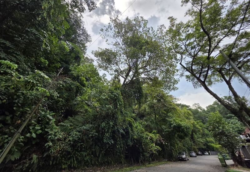 10 Damansara Heights