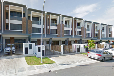 Edulis (Erythrina Series), Setia Alam