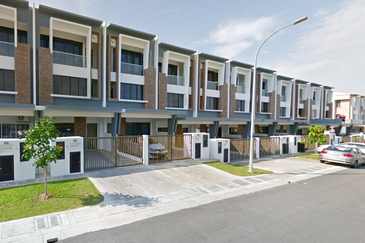 Edulis (Erythrina Series), Setia Alam