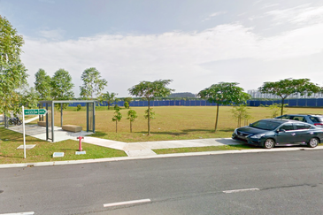 Edulis (Erythrina Series), Setia Alam