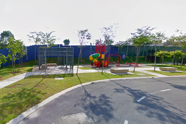 Edulis (Erythrina Series), Setia Alam