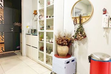 Dianthus @ Tropicana Gardens