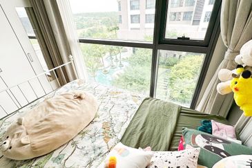 Dianthus @ Tropicana Gardens