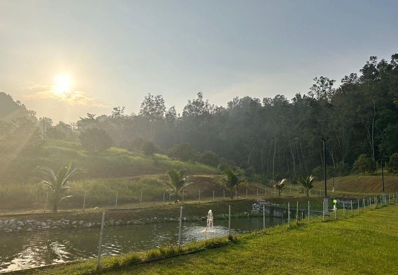 94 Acres Freehold Durian Farm land at Padang Tengku Town Pahang