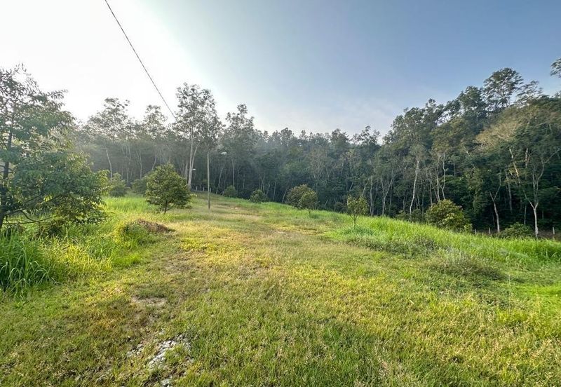 94 Acres Freehold Durian Farm land at Padang Tengku Town Pahang