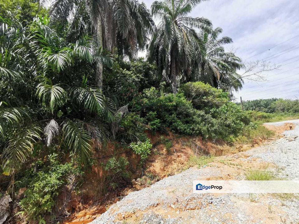Semenyih, Agriculture Land (Zoned Industrial) for Sale RM1,265,000 By