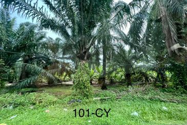 Worth To Buy 1.74 Arces Agriculture Land @ Jenjarom For Sale