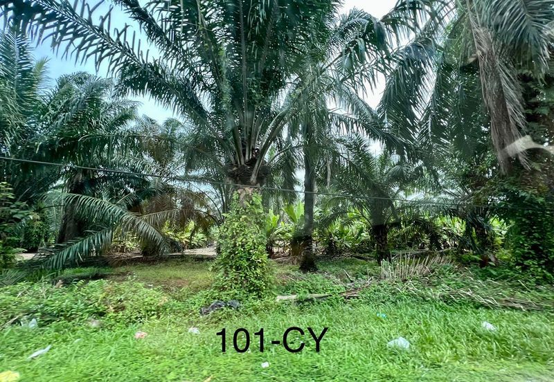 Worth To Buy 1.74 Arces Agriculture Land @ Jenjarom For Sale