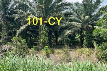 Worth To Buy 1.74 Arces Agriculture Land @ Jenjarom For Sale