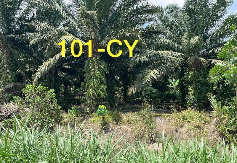 Worth To Buy 1.74 Arces Agriculture Land @ Jenjarom For Sale