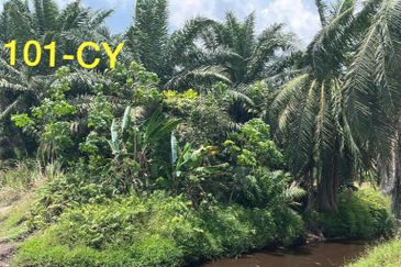 Worth To Buy 1.74 Arces Agriculture Land @ Jenjarom For Sale