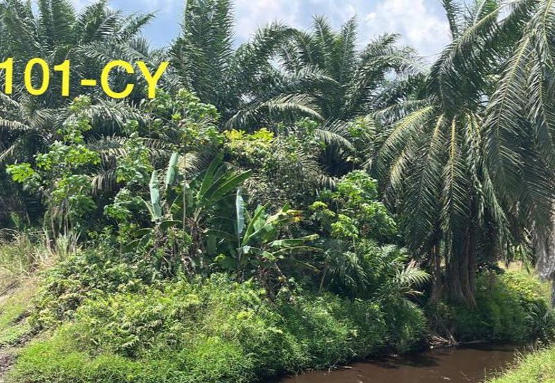 Worth To Buy 1.74 Arces Agriculture Land @ Jenjarom For Sale