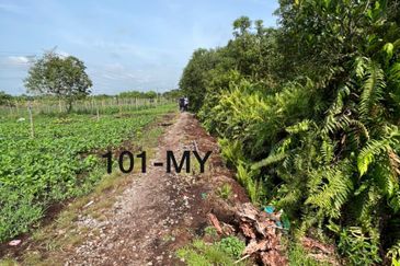 Agriculture Land @ Johan Setia Klang 2 Acre Land For Sale