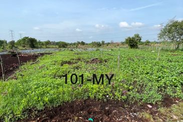 Agriculture Land @ Johan Setia Klang 2 Acre Land For Sale