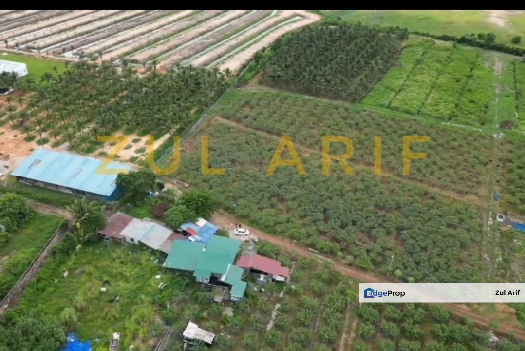 20 Ekar Tanah Pertanian Freehold Zoning Residential Klebang Besar, Melaka, Melaka Tengah