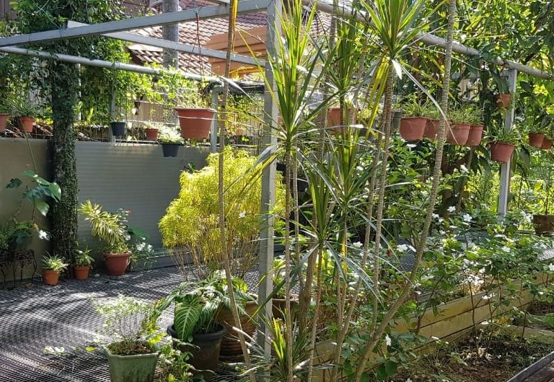 Damansara Heights (Bukit Damansara)