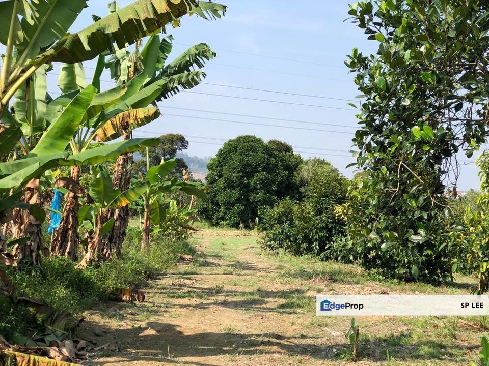 Freehold Agriculture Land at Pajam For Sale, Negeri Sembilan, Mantin