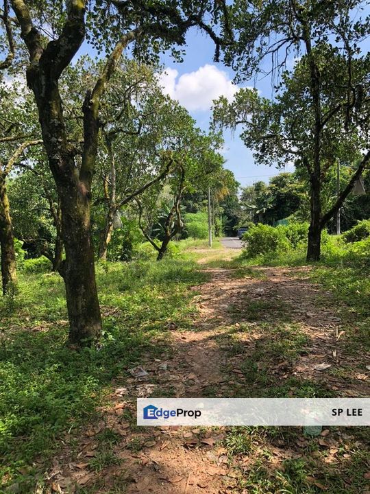 Freehold Agriculture Land at Pajam For Sale, Negeri Sembilan, Mantin