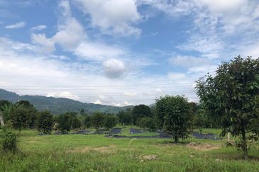 Kampung Baharu Pajam