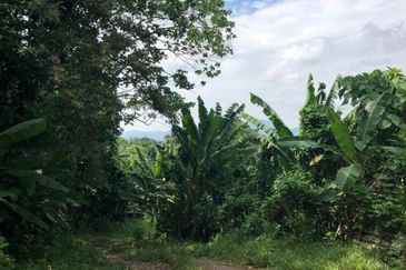 Kampung Baharu Pajam