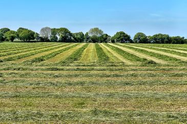 Agricultural land, Batu 6, Jalan Sungai Binjai, Klang