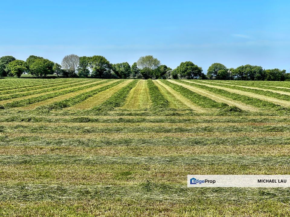 Cyberjaya, Commercial Land, Selangor, Cyberjaya