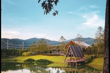 Ebonylane @ Eco Forest