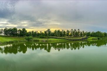 Ebonylane @ Eco Forest