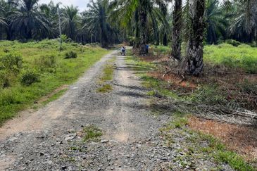 Crude Palm Oil Land for sale @ Jerantut
