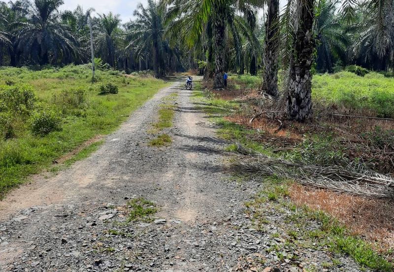 Crude Palm Oil Land for sale @ Jerantut