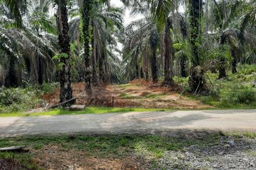 Crude Palm Oil Land for sale @ Jerantut