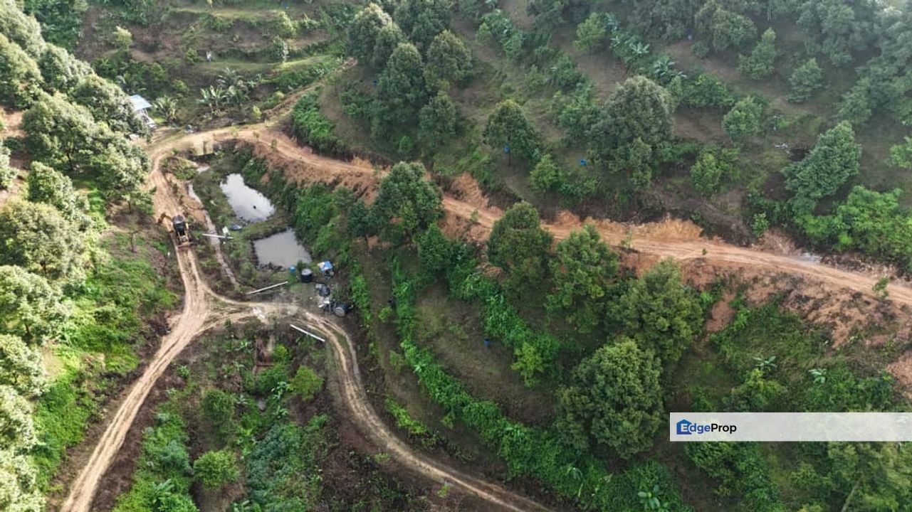 Durian Land for Sale @ Raub , Pahang, Raub