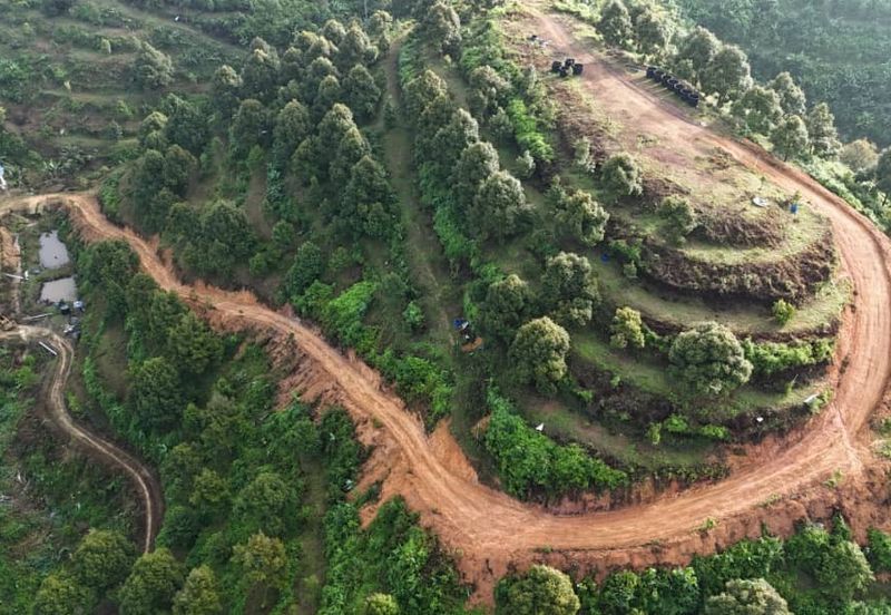 Durian Land for Sale @ Raub 