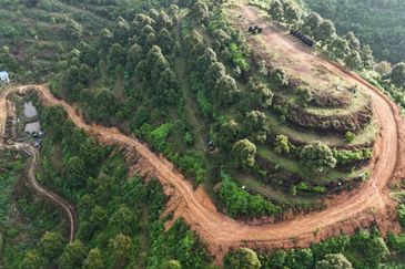 Durian Land for Sale @ Raub 